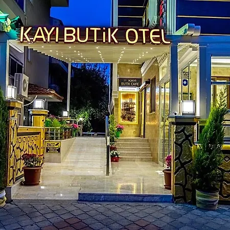 Kayi מלון 2*